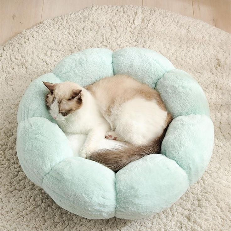 Flower Cat Bed Soft and Cute Open Design