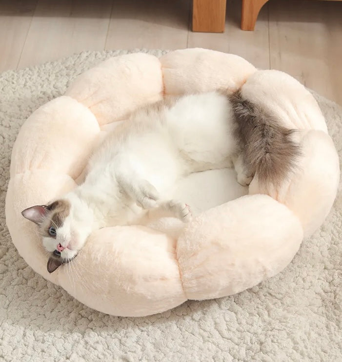Flower Cat Bed Soft and Cute Open Design