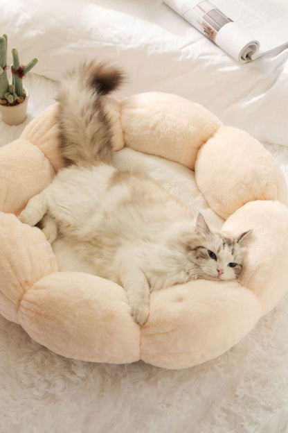Flower Cat Bed Soft and Cute Open Design